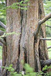 《开拓者：正义之怒》PS4＆XB1版秋季推出